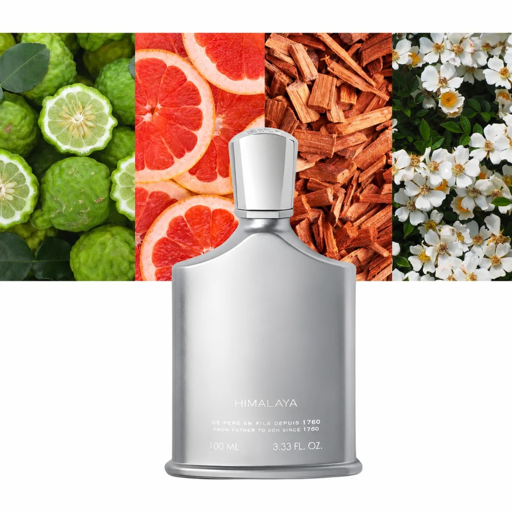 Aventus Parfum voor Heren 100m - Perfume High Fragrance recensie en prijs
